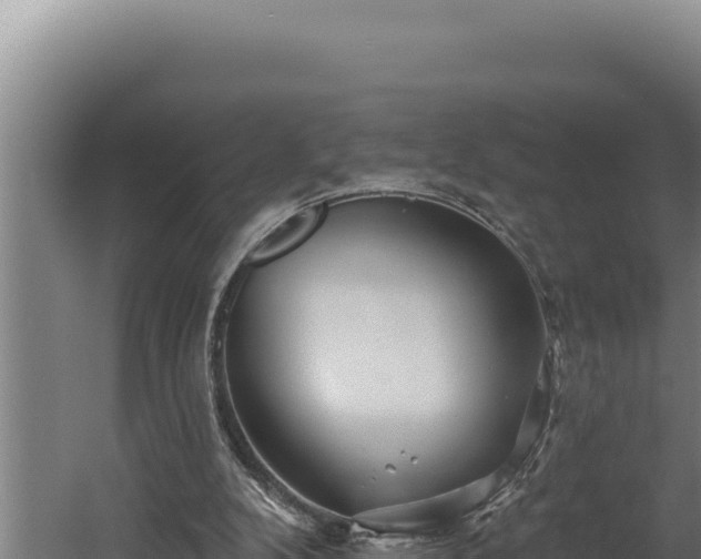 X0000060580104200511071056