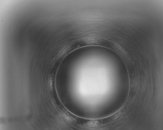 X0000060580124200511071055