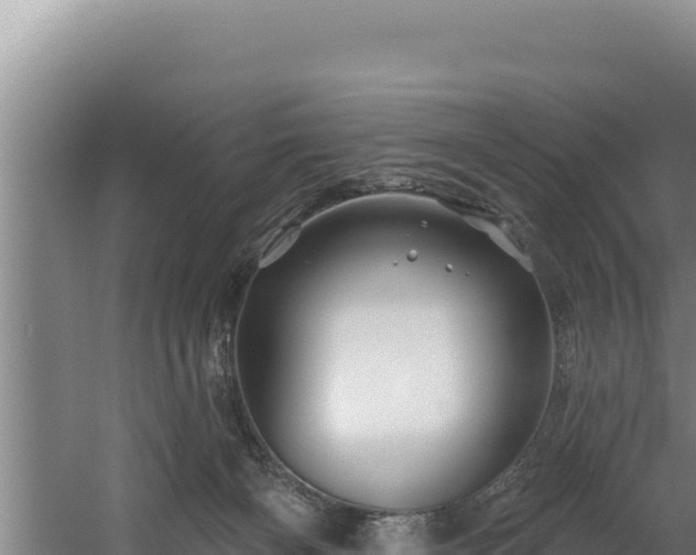 X0000060580126200511071055