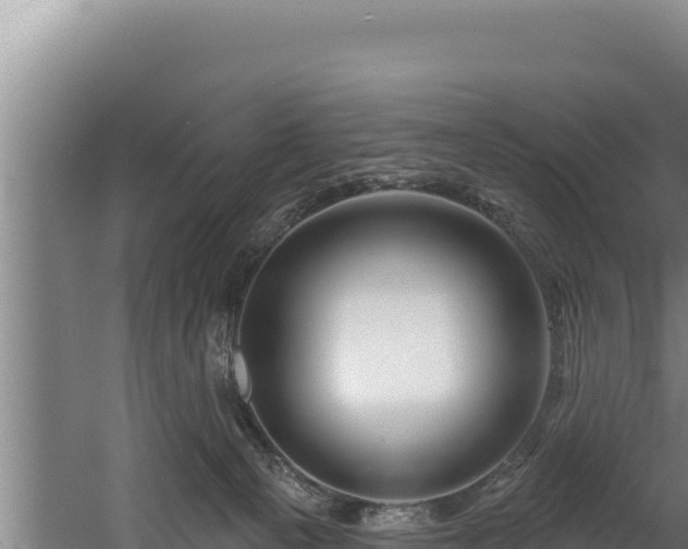 X0000060580129200511071055