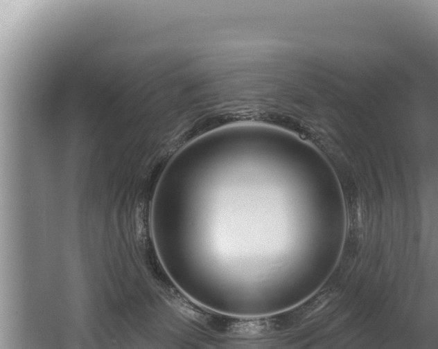 X0000060580131200511071055