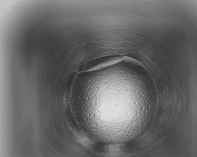 X0000060580134200511071055