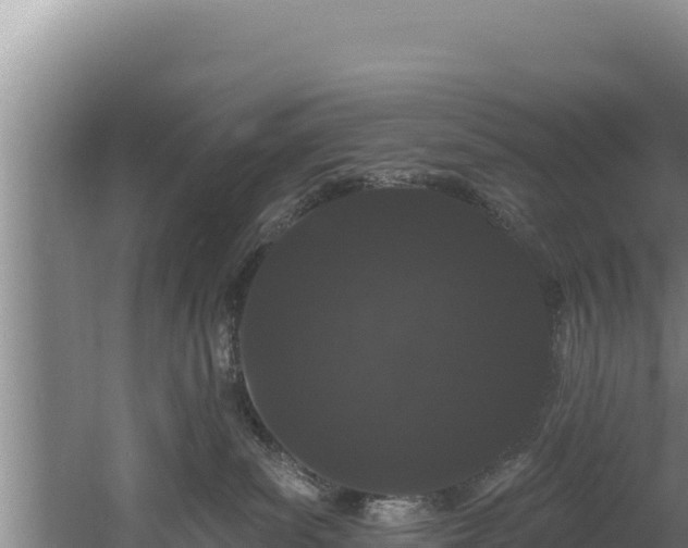 X0000060580139200511071055