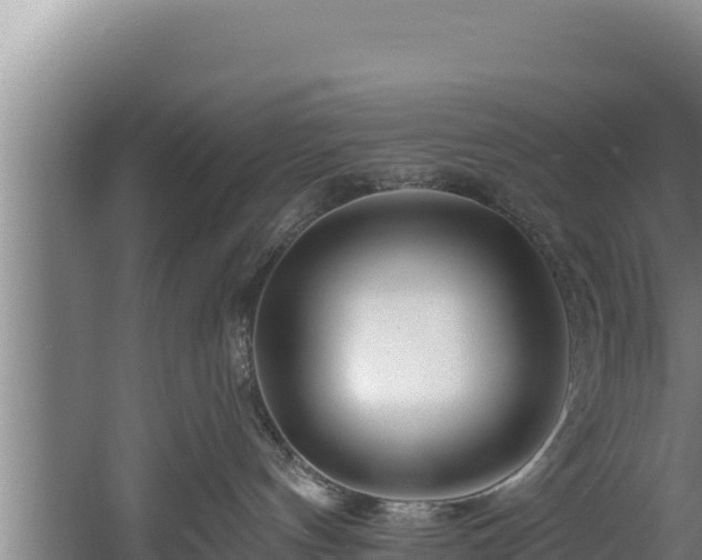 X0000060580144200511071055