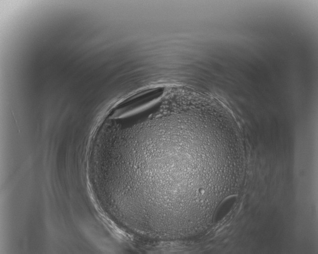 X0000060580145200511071054