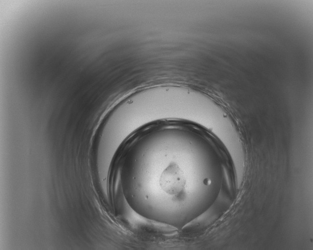 X0000060580146200511071054