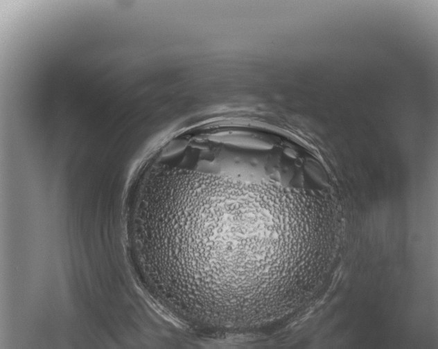 X0000060580149200511071054