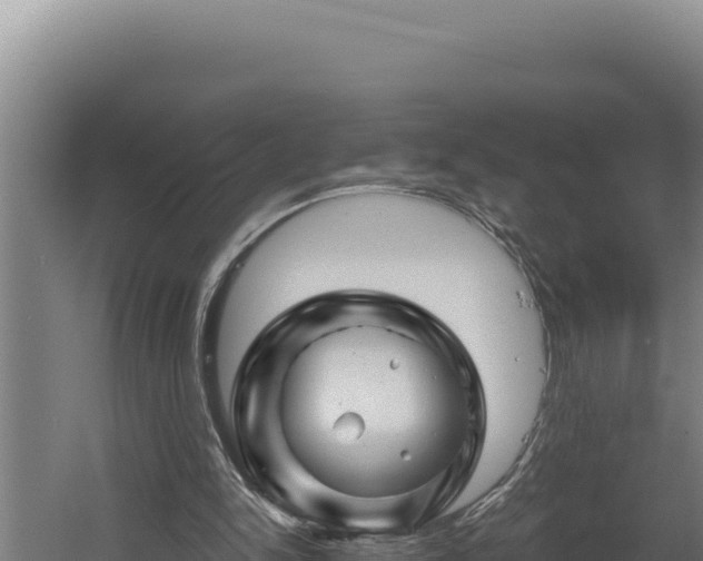 X0000060580150200511071054