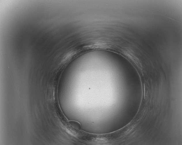 X0000060580157200511071054