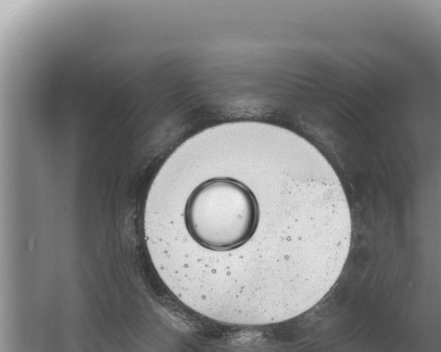 X0000060580162200511071054