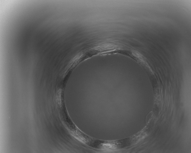 X0000060580167200511071055