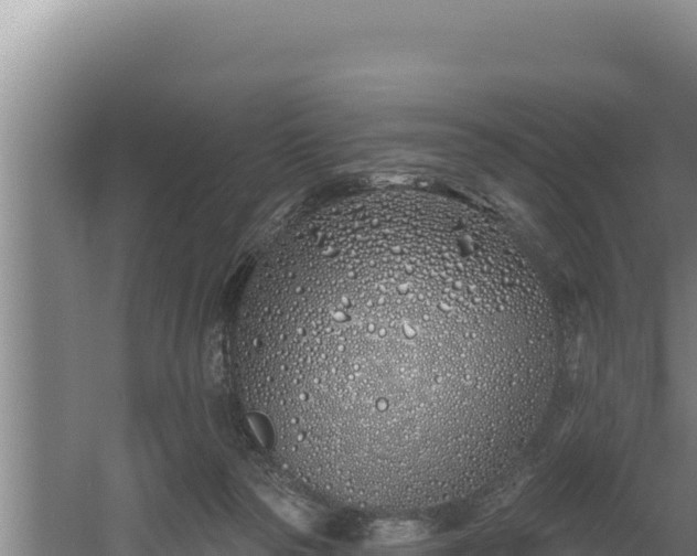 X0000060580169200511071055