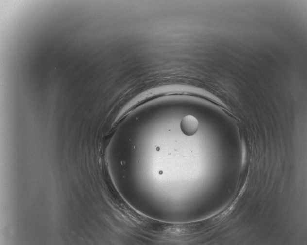 X0000060580174200511071055