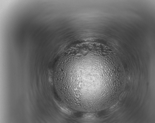 X0000060580175200511071055