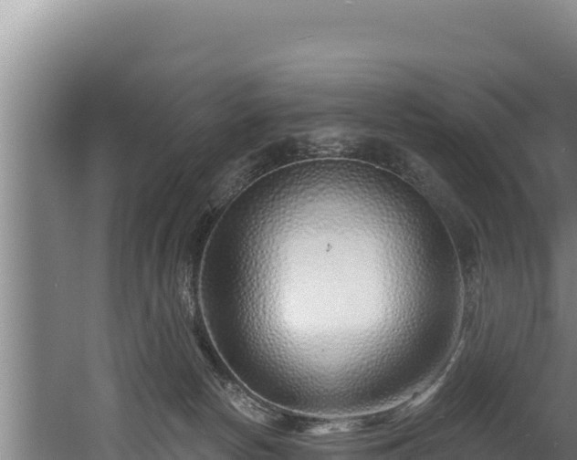 X0000060580178200511071055