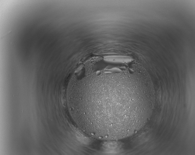 X0000060580181200511071055