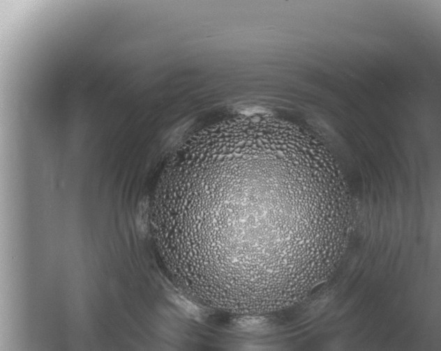 X0000060580189200511071055