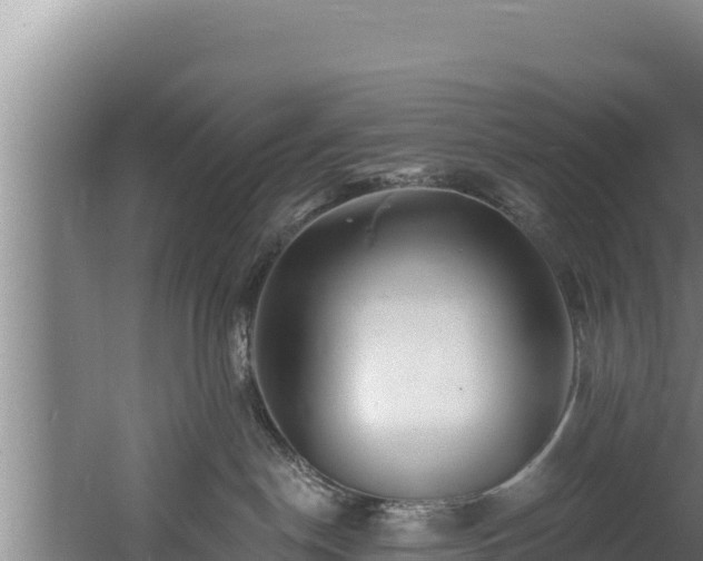 X0000060580190200511071055