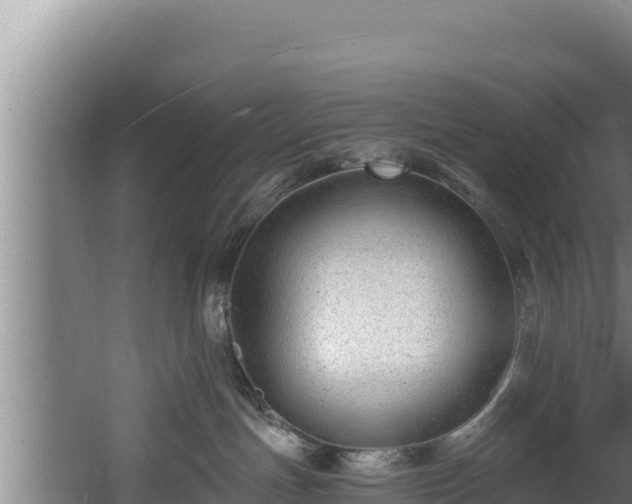 X0000060580191200511071055