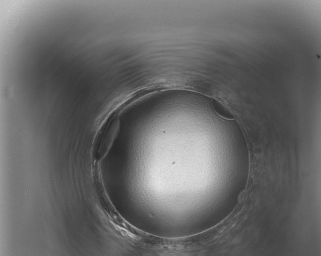 X0000060580194200511071054