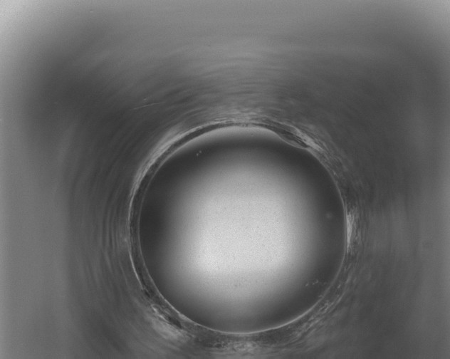 X0000060580195200511071054