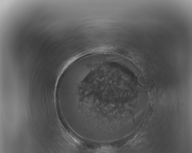 X0000060580196200511071054