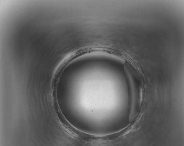 X0000060580197200511071054