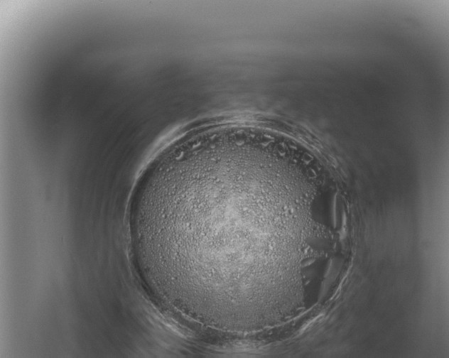 X0000060580198200511071054