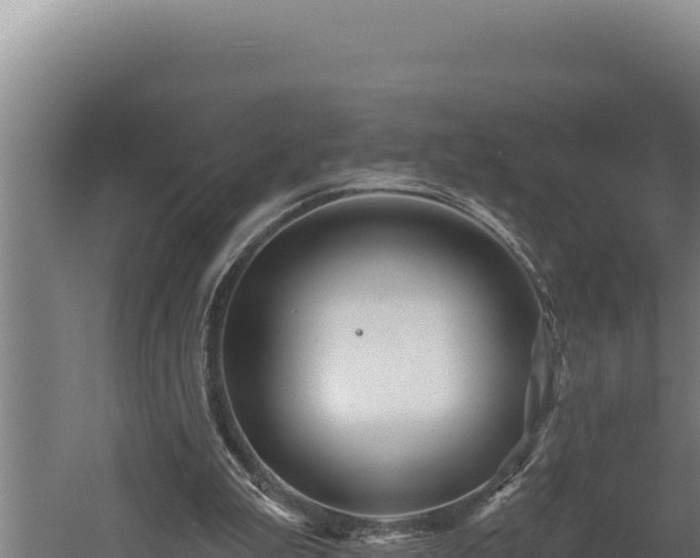 X0000060580199200511071054