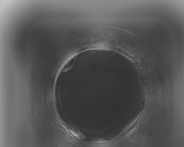 X0000060580200200511071054