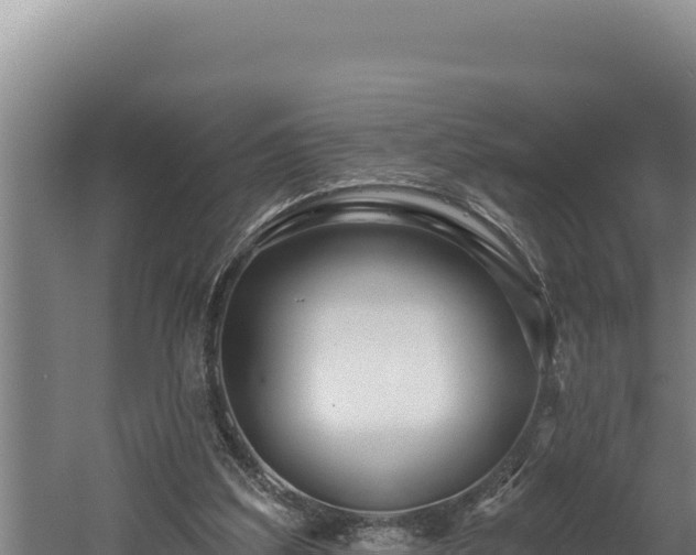 X0000060580203200511071054