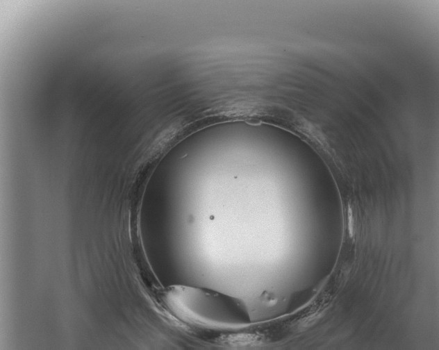 X0000060580205200511071054