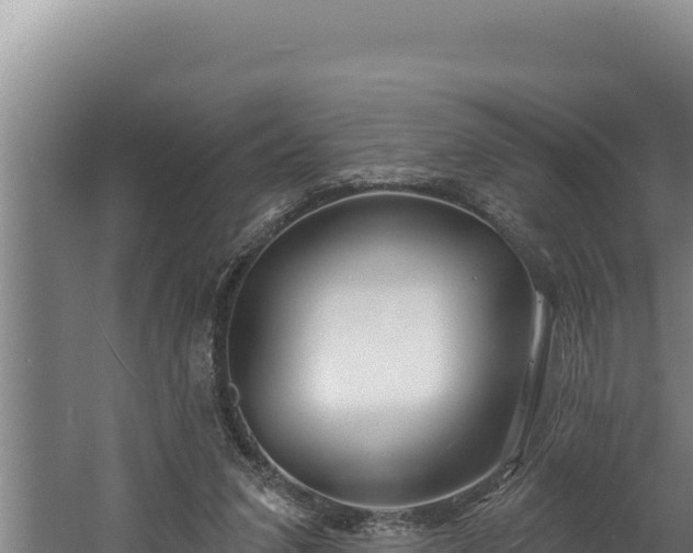 X0000060580207200511071054