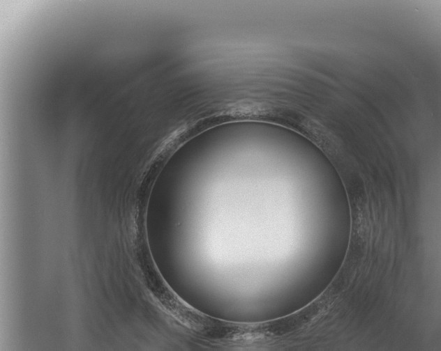 X0000060580208200511071054