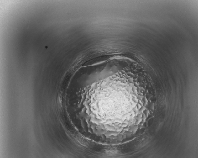 X0000060580214200511071054