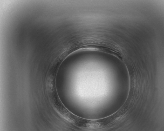 X0000060580215200511071054