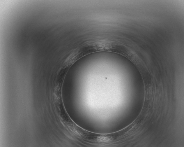 X0000060580218200511071054