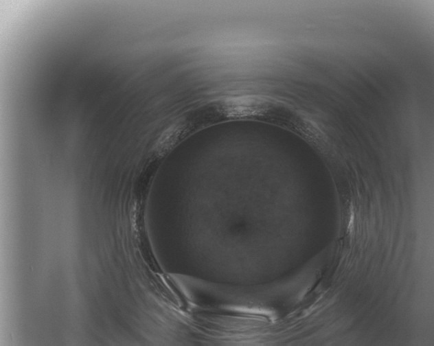 X0000060580219200511071054