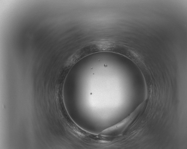 X0000060580221200511071054