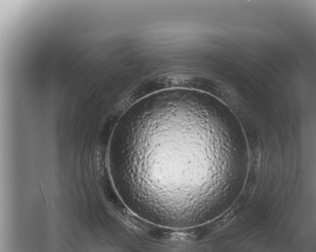 X0000060580222200511071054