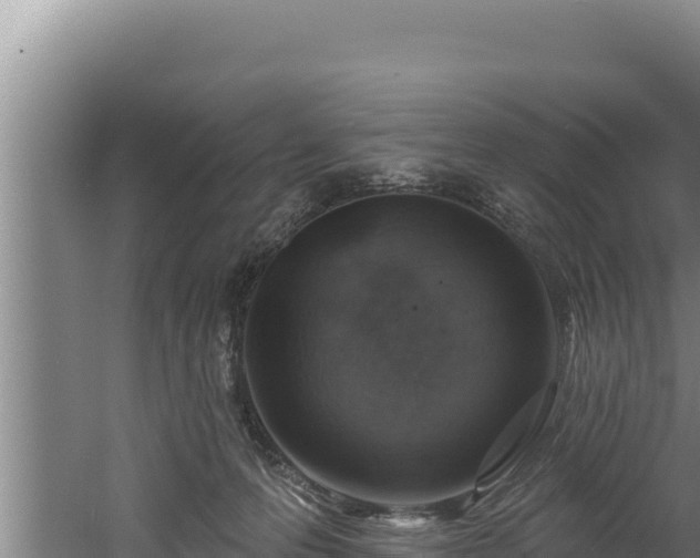 X0000060580223200511071054