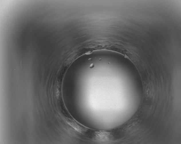 X0000060580226200511071053