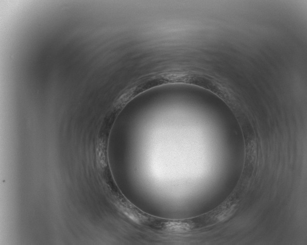 X0000060580234200511071053