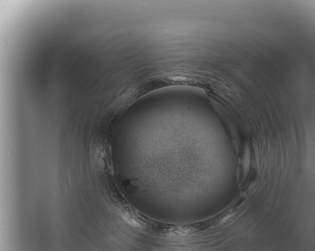 X0000060580235200511071053