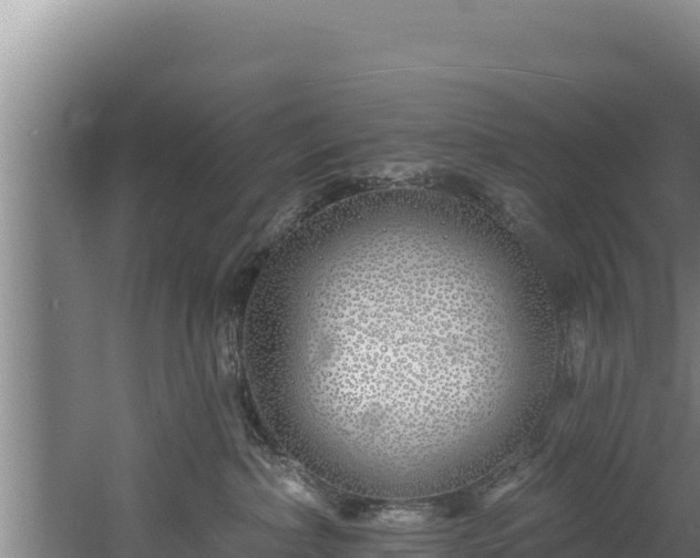 X0000060580236200511071053