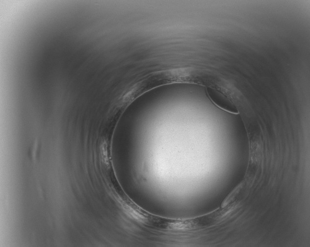 X0000060580238200511071053