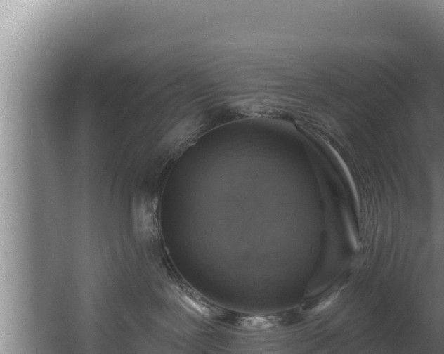 X0000060580239200511071053