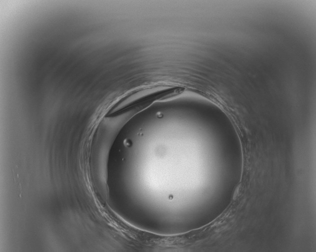 X0000060580241200511071052