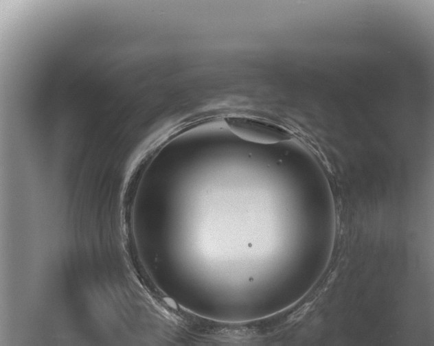 X0000060580245200511071052