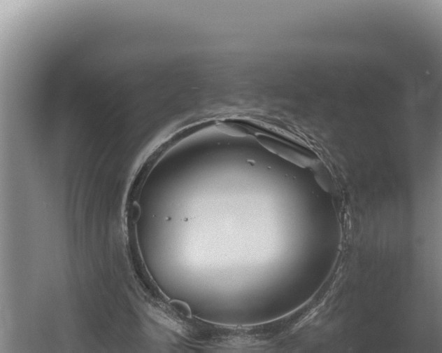 X0000060580246200511071052